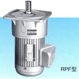 RPF Vertical Type Gear Reduction Motor