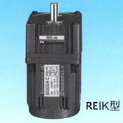 REIK Single Phase Induction Motor
