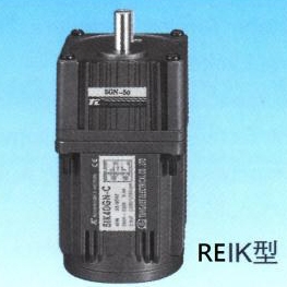 REIK 3 Phase Induction Motor