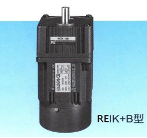 REIKB Single Phase Induction Motor