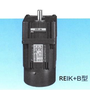 REIKB 3 Phase Induction Motor