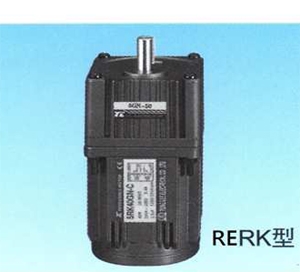 RERK Induction Motor